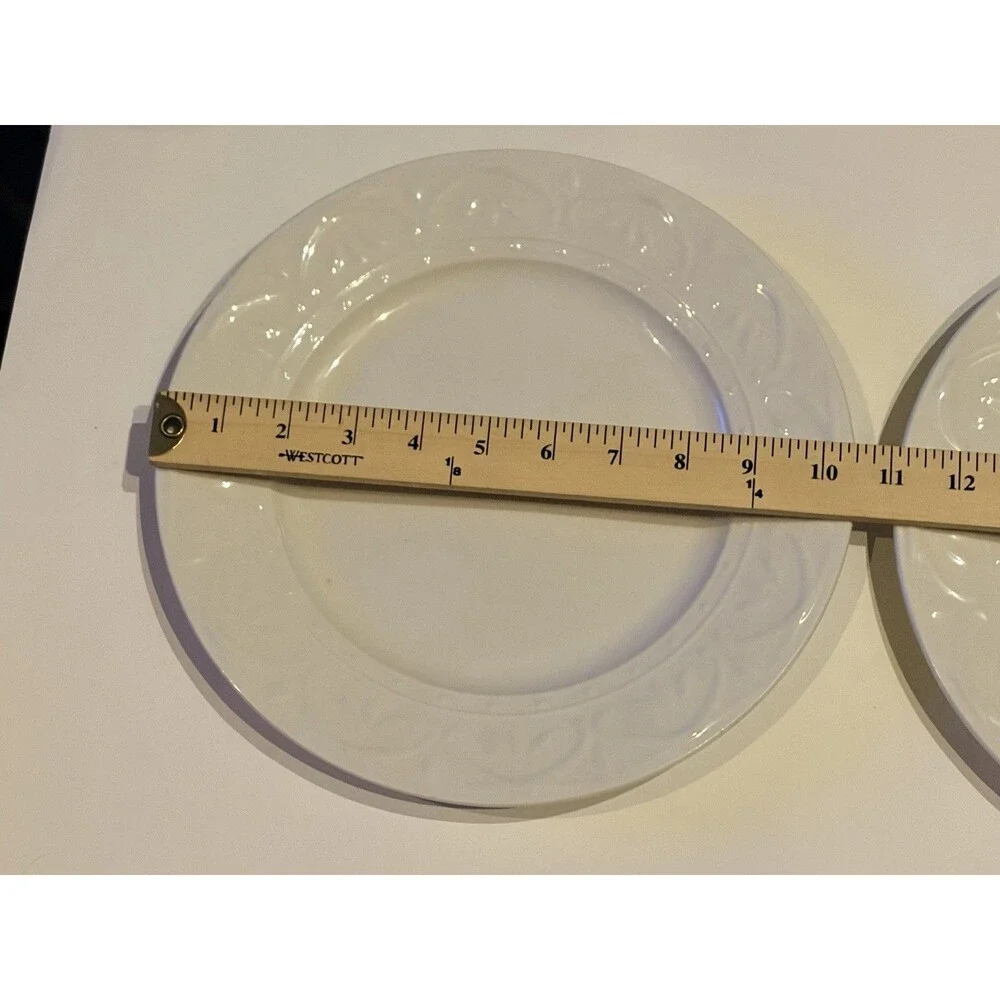 PFALTZGRAFF CARA (2) Dinner Plates 10 3/4
